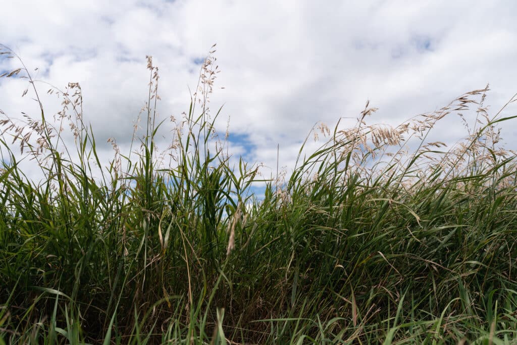 Polar\-220728\-02459